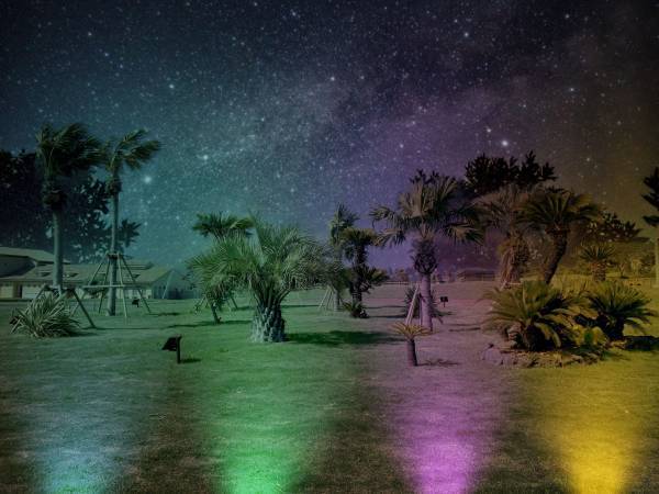 神奈川県初！上空から幻想的なライトアップを楽しめるナイトジップラインが登場。「Soleil Twilight Xmas 2023　ちょっぴり夜asobiなソレイユの丘」12月9日（土）から期間限定で開催。