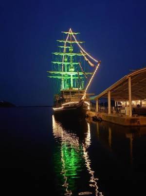 淡路島の夜の新スポット誕生「うずしおクルーズCHRISTMASライトアップ」を12月1日(金)～12月31日(日)に期間限定で開催！