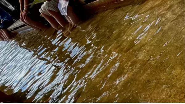 広い広いソラだから、農園のなかの流星群☆彡フェス　「THE FARM ふたご流星群前夜祭」12月14日(木)開催　極大15日よりもよく見える！？