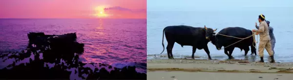 世界自然遺産「奄美・沖縄」WEBサイトがリニューアル！徳之島の自然・食・文化・体験を楽しもう。「島のいいもの」が当たるクイズキャンペーンも開催中！