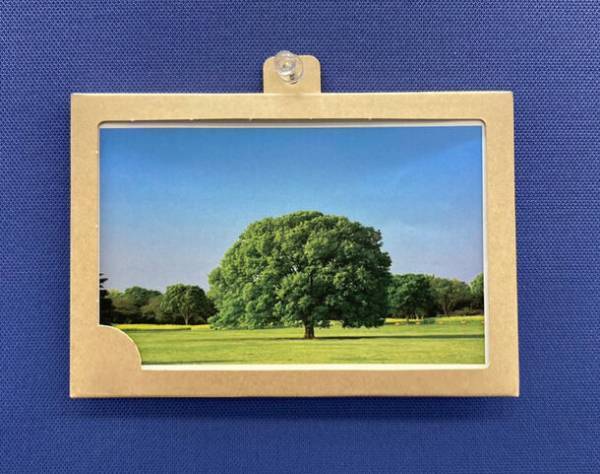 型抜き印刷×環境配慮で企業団体を支援！100％紙製で環境とお客様に寄り添うオリジナル販促ノベルティ「ペコケース」をリリース