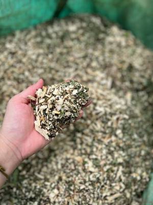 廃棄される香木「クロモジ」で森林保全と人々の健康、安眠、美容に役立つライフスタイルブランド『FOREIGE』誕生！12月12日よりFor Goodでクラウドファンディングを開始