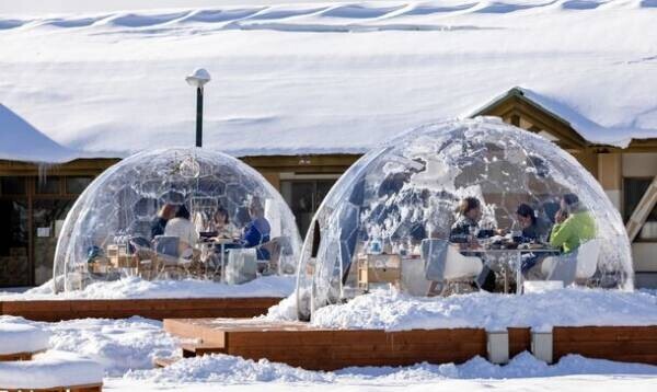 雪国 青森・十和田の冬季限定「奥入瀬かまくらドームレストラン」　完全貸し切りのプライベート空間で自然×食を楽しむ至福の120分