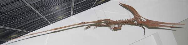 「オダイバ恐竜博覧会2024 ー福井から“ヤツラ”が新幹線でやってくる！ー」2024年春、オダイバは“春のスピノサウルスまつり”だ！世界初公開！全長15M！新作・ライフサイズのスピノサウルスロボットフジテレビ球体展望室に降臨！日本初公開！スピノサウルスの化石標本の展示が決定！