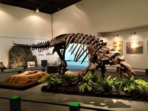 「オダイバ恐竜博覧会2024 ー福井から“ヤツラ”が新幹線でやってくる！ー」2024年春、オダイバは“春のスピノサウルスまつり”だ！世界初公開！全長15M！新作・ライフサイズのスピノサウルスロボットフジテレビ球体展望室に降臨！日本初公開！スピノサウルスの化石標本の展示が決定！