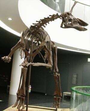 「オダイバ恐竜博覧会2024 ー福井から“ヤツラ”が新幹線でやってくる！ー」2024年春、オダイバは“春のスピノサウルスまつり”だ！世界初公開！全長15M！新作・ライフサイズのスピノサウルスロボットフジテレビ球体展望室に降臨！日本初公開！スピノサウルスの化石標本の展示が決定！
