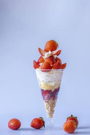 旬のいちご約100粒を使用！いちご狩り気分を楽しめる超特大パフェが帰ってきた！熱海のいちごスイーツ専門店で12月15日よりスタート！