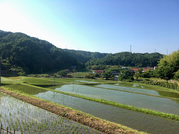 島根県雲南市「鳥獣害対策ソリューション」に関する実証事業開始～ローカル5G等の実現に向けた開発実証～