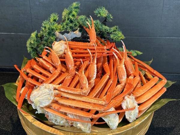 開業50周年の静岡県・西伊豆「堂ヶ島ニュー銀水」　1月13日より期間限定で「ズワイガニ食べ放題フェア」を初開催！お好みに合わせた会席プランとの組み合わせが可能
