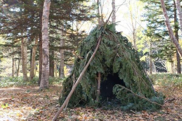 北海道産アカエゾ松精油を主原料とする虫よけ及びアロマミスト「SUNKU　SKIN GUARD MIST」誕生！2024年2月から販売開始