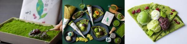 お濃茶スイーツ専門店「熱海さとり本店」12月23日オープン情報第2弾　とろ～りお濃茶を練り込んだ“パリパリ”新食感クレープに、お濃茶プリン、抹茶わらび餅も！～見た目にも美しい至極のお濃茶スイーツ詳細を発表～