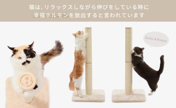 猫オーナーの57％がタテ型タイプの爪とぎを愛用　即完売するほど大人気、猫が立って伸び伸びとつめとぎができる「バリバリつめとぎポール 麻」に、より高さのあるLサイズが新登場