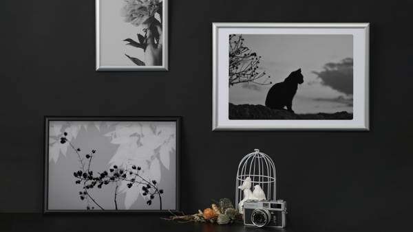 シンプルですっきりとしたデザインの木製額縁「PIXRIA+（ピクスリア プラス）」とアルミ額縁「PEORIA+（ペオリア プラス）」2種が新発売