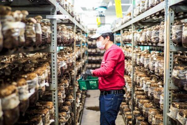 奈良発のSDGs商品を全国に広げたい！製造副産物等をおいしく楽しく活用した自社開発商品を発表