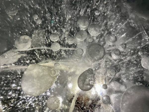 十勝上空1,500mの世界へ！北海道上士幌町・カミシホロホテルで熱気球フリーフライト体験付き宿泊プランを販売開始！