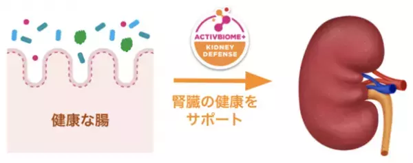 ペットの腎臓ケアのための特別療法食「ヒルズ　プリスクリプション・ダイエットk/d シリーズ」が全製品に新テクノロジーを採用しアップグレード