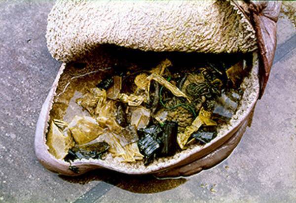 特別展「海―生命のみなもと―」の名古屋展が2024年3月16日(土)より名古屋市科学館で開催