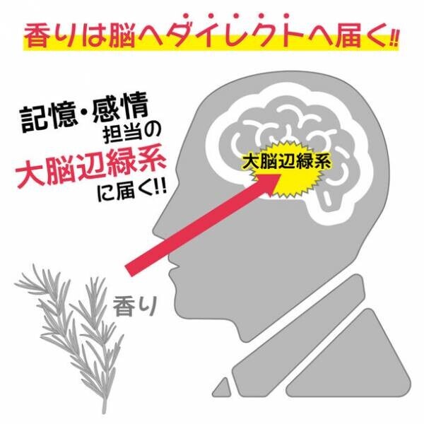 自由が丘のアロマ専門店「KAORI MOMENT JIYUGAOKA Lab」が1周年フェアを2月1日(木)から29日(木)まで開催！