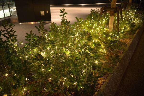 巨大絵本に見立てたスクリーンに園児が描いたイラストを投影！「住友不動産東京三田ガーデンタワー」で12月25日（月）まで、クリスマスイベントを開催。日比谷花壇が装飾を担当しました。