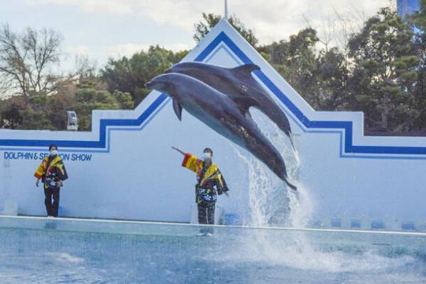 生きている深海生物に間近でふれる！学ぶ！「しな水の深海生物展2024～グソくんの深海ツアー～」開催