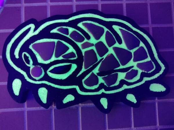 生きている深海生物に間近でふれる！学ぶ！「しな水の深海生物展2024～グソくんの深海ツアー～」開催