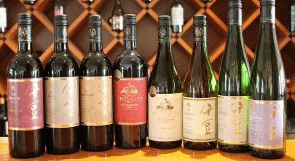 伊豆に春の訪れを告げる早咲き桜の祭典「河津桜まつり」と「みなみの桜と菜の花まつり」をめぐる小田原駅発の日帰りバスツアーを12月21日(木)に販売開始