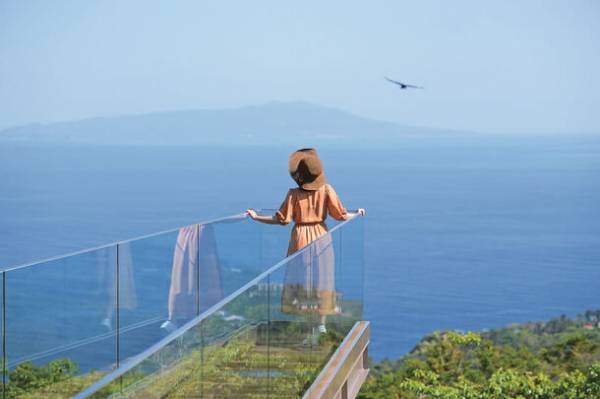 伊豆に春の訪れを告げる早咲き桜の祭典「河津桜まつり」と「みなみの桜と菜の花まつり」をめぐる小田原駅発の日帰りバスツアーを12月21日(木)に販売開始