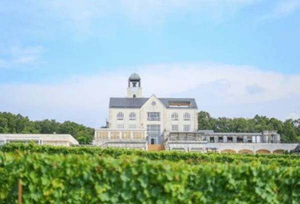 伊豆に春の訪れを告げる早咲き桜の祭典「河津桜まつり」と「みなみの桜と菜の花まつり」をめぐる小田原駅発の日帰りバスツアーを12月21日(木)に販売開始