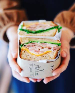 伊豆に春の訪れを告げる早咲き桜の祭典「河津桜まつり」と「みなみの桜と菜の花まつり」をめぐる小田原駅発の日帰りバスツアーを12月21日(木)に販売開始