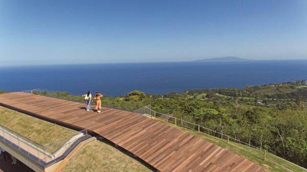 伊豆に春の訪れを告げる早咲き桜の祭典「河津桜まつり」と「みなみの桜と菜の花まつり」をめぐる小田原駅発の日帰りバスツアーを12月21日(木)に販売開始