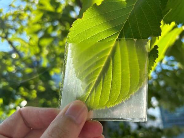 「最先端探訪セミナーシリーズ」2023年全12回を年末年始限定で一挙に“無料公開”！この正月は知的好奇心と教養を磨こう！～慶大、東大、京大、ベンチャー最前線からの情報満載～