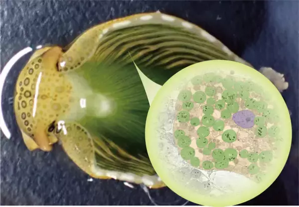 「最先端探訪セミナーシリーズ」2023年全12回を年末年始限定で一挙に“無料公開”！この正月は知的好奇心と教養を磨こう！～慶大、東大、京大、ベンチャー最前線からの情報満載～