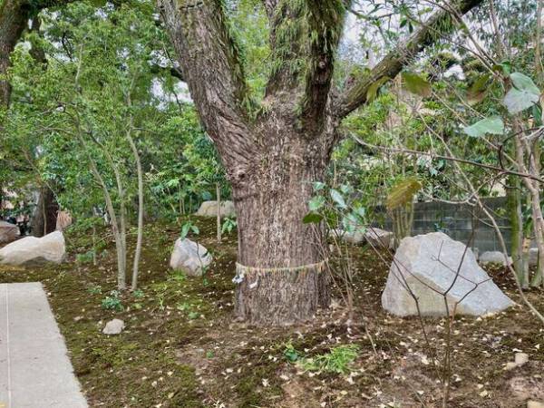 初詣はリニューアルした鳥飼八幡宮へ！「表参道整備事業」が竣工、元日に記念イベントを開催