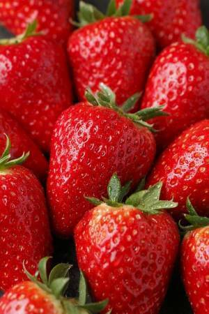 東京・新橋にて奈良の商品やいちごを堪能できるイベント、ご当地のお雑煮を味わうスタンプラリーを1月に開催！