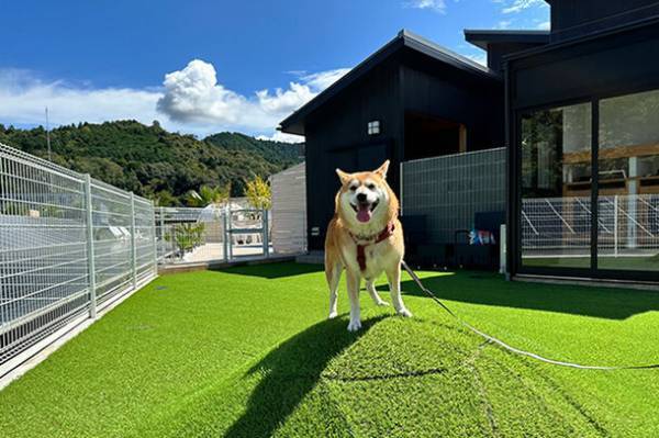 滋賀県グランピング初！屋上デッキに「バレルサウナ」を設置！プライベート空間で星空を眺めながら極上の“ととのう”体験