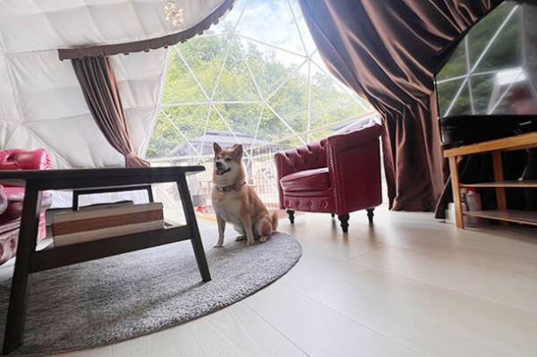 滋賀県グランピング初！屋上デッキに「バレルサウナ」を設置！プライベート空間で星空を眺めながら極上の“ととのう”体験