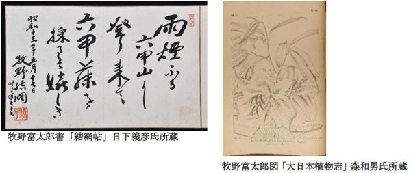 六甲高山植物園『牧野の足あと ～博士と関西の仲間たち～』開催決定 2024年3月16日(土)～8月18日(日)