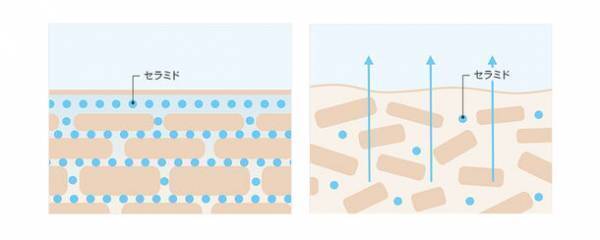 塗るたび速攻ハリつや肌！厳選した成分を1本に凝縮した「プリュ レチノール リペア エッセンス」が2024年1月5日発売　～新型レチノール・ナイアシンアミド・ヒト型セラミド他配合～