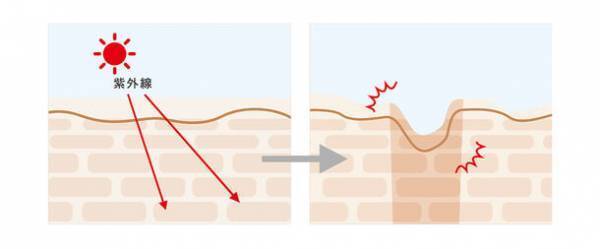 塗るたび速攻ハリつや肌！厳選した成分を1本に凝縮した「プリュ レチノール リペア エッセンス」が2024年1月5日発売　～新型レチノール・ナイアシンアミド・ヒト型セラミド他配合～