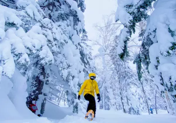 冬の“富良野”を満喫！「農・スノー」に注目した新たな2つのツアーを2月より開催！～ワイナリーツアー＆フォトツアー～