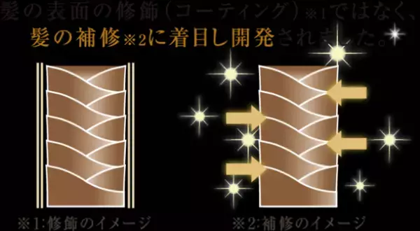 油性ペンを消すTVCMのシャワーヘッド「ミラブル」関連新商品　「ミラブルのために生まれたシャンプー＆トリートメント」販売代理店の募集開始