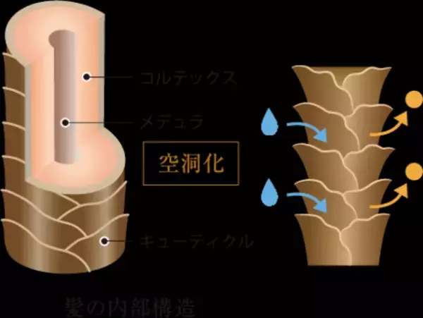 油性ペンを消すTVCMのシャワーヘッド「ミラブル」関連新商品　「ミラブルのために生まれたシャンプー＆トリートメント」販売代理店の募集開始