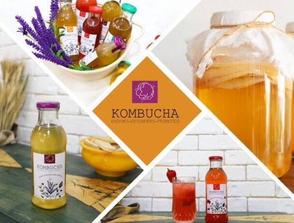 モンゴル老舗のコンブチャメーカー「Kombucha Mongolia」イーデパ・ワールド株式会社と新商品を開発！3月発売予定