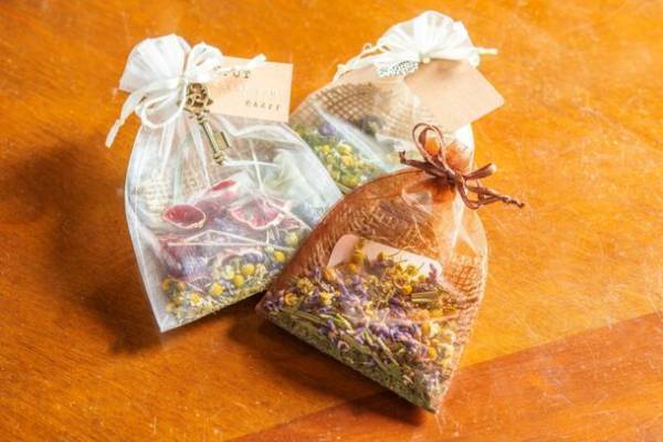 目指すは新しい形の公民館！多肉・観葉植物のお店SPOTが第1回「SPOT PARTY」を1月27(土)・28(日)に開催