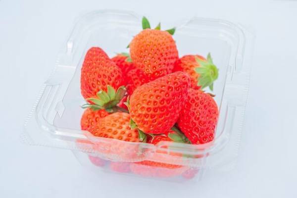 目指すは新しい形の公民館！多肉・観葉植物のお店SPOTが第1回「SPOT PARTY」を1月27(土)・28(日)に開催