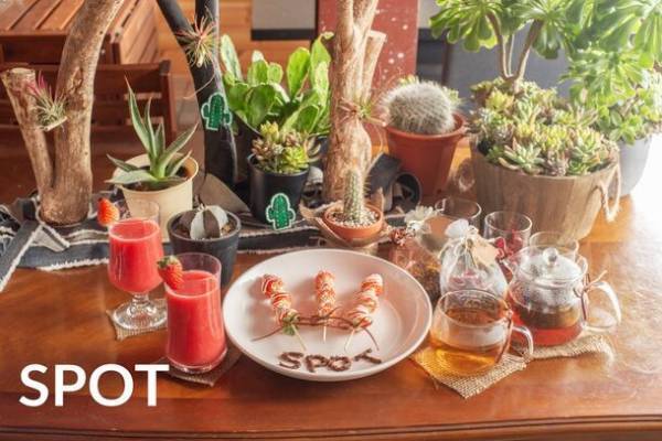 目指すは新しい形の公民館！多肉・観葉植物のお店SPOTが第1回「SPOT PARTY」を1月27(土)・28(日)に開催