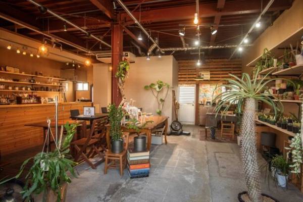 目指すは新しい形の公民館！多肉・観葉植物のお店SPOTが第1回「SPOT PARTY」を1月27(土)・28(日)に開催