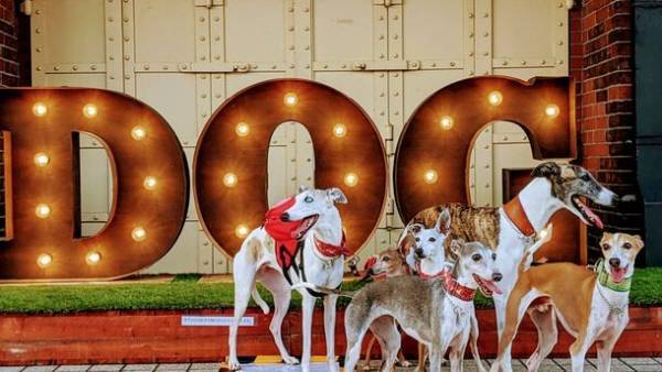 コピス吉祥寺の広場にわんこ同伴でお越しいただける特別な3日間！『フユ イヌ マルシェ2024』を1月26日～28日に開催