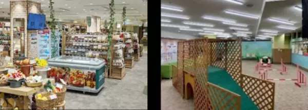 コピス吉祥寺の広場にわんこ同伴でお越しいただける特別な3日間！『フユ イヌ マルシェ2024』を1月26日～28日に開催