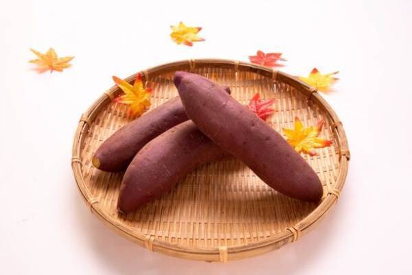 松本まりかさんが「千葉のさつまいもアンバサダー」に就任！千葉県ならではのさつまいもの美味しさを伝えていきます